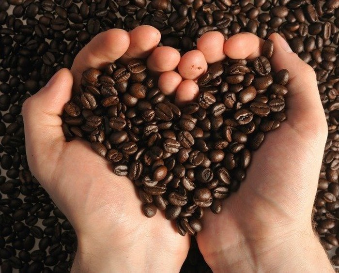 Exportations de 453 000 tonnes de café au 1er trimestre